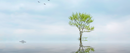 2025考研網(wǎng)報(bào)信息_考研網(wǎng)上確認(rèn)_現(xiàn)場(chǎng)確認(rèn)_網(wǎng)報(bào)公告：江蘇省2025年全國(guó)碩士研究生招生考試關(guān)于網(wǎng)上報(bào)名、確認(rèn)和準(zhǔn)考證打印等注意事項(xiàng)